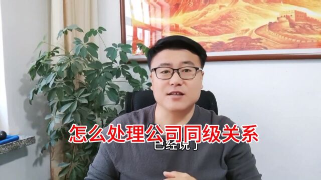 怎么处理公司同级关系