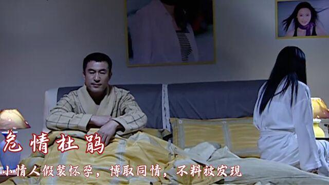 小情人假装怀孕,博取同情,不料被发现,犯罪剧