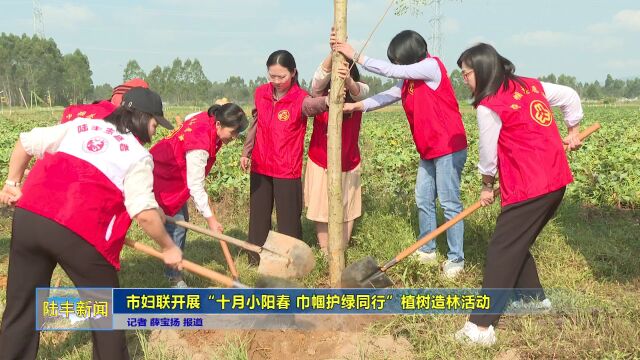 市妇联开展“十月小阳春 巾帼护绿同行”植树造林活动