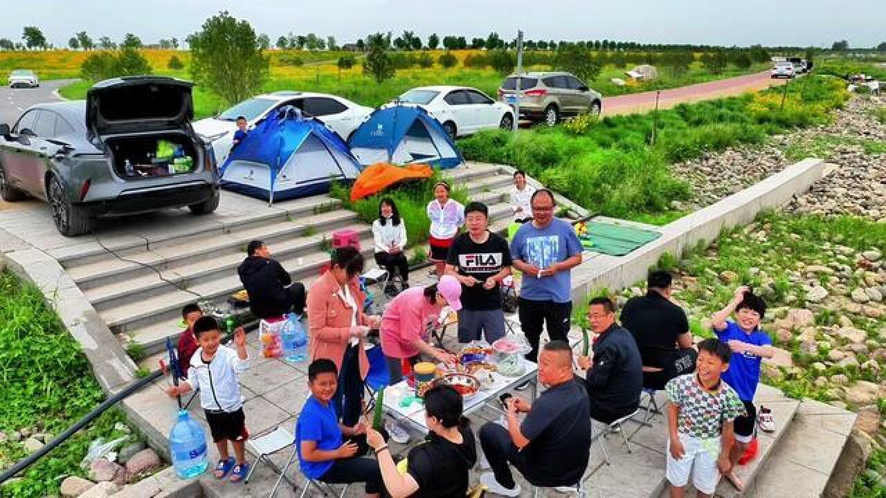 河北省石家庄市,石家庄花海惊艳了夏天