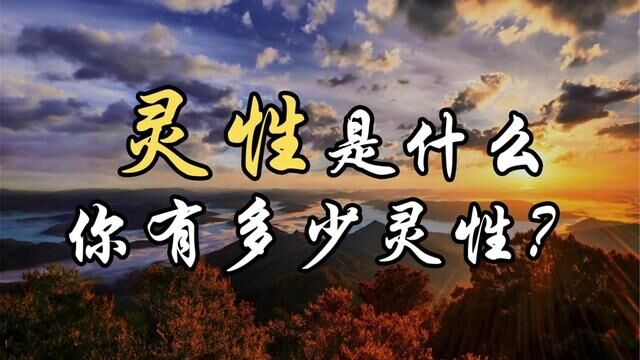 (灵修)灵性是什么,你还有多少灵性? #心灵 #冥想 #心理 #哲理 #九型人格 #身心健康 #道德经