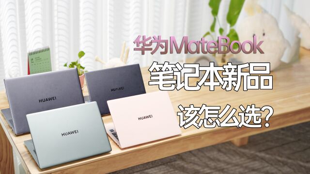 华为MateBook数字系列2023款该怎么选?