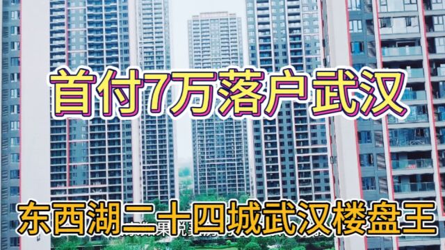 东西湖二十四城首付7万不限购落户大武汉!价格低刚需都想买?