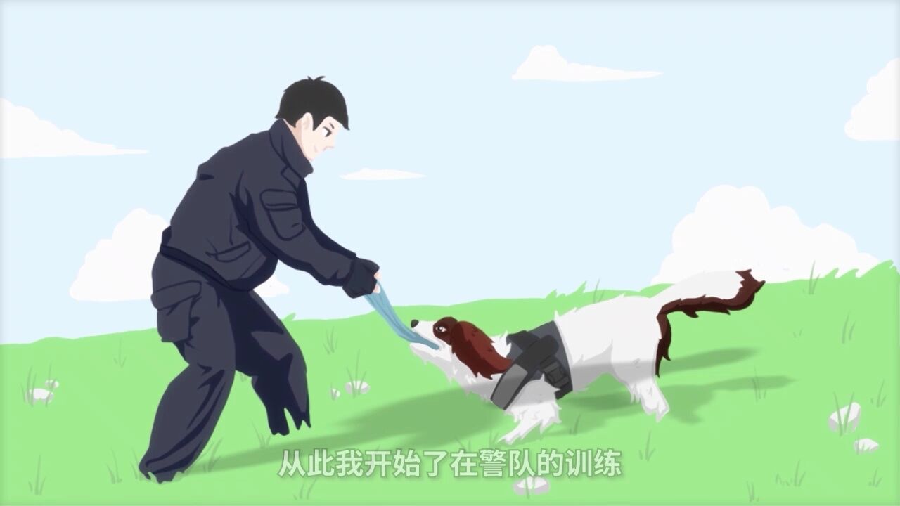 走进缉毒警犬基地,了解训犬员和警犬的故事