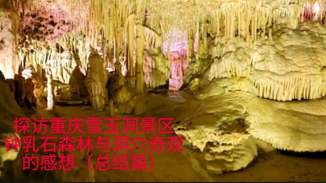 探访重庆雪玉洞景区~钟乳石森林与洞穴奇观后的感想(总结篇)