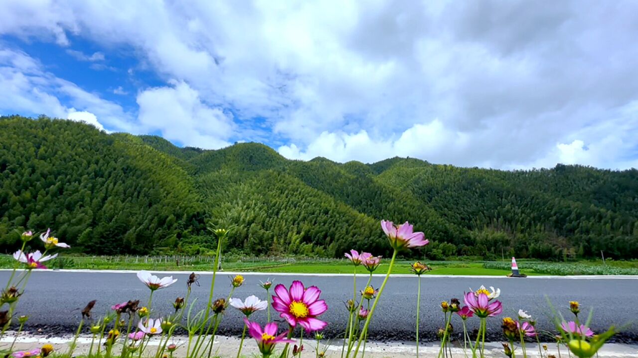 视频丨双牌阳明山村:清凉夏日 风起云涌动