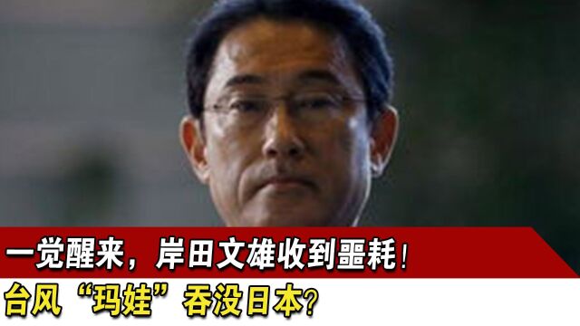 一觉醒来,岸田文雄收到噩耗!台风“玛娃”吞没日本?