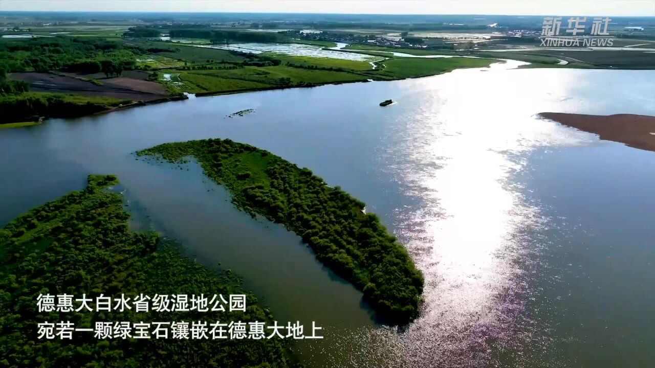 四季旅行|德惠大地上的“绿宝石”