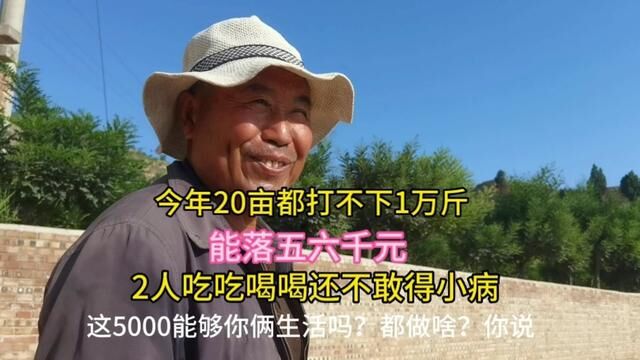 山区农民靠天吃饭,种20亩小麦收入五六千元,言称不敢得小病 #农民 #粮食