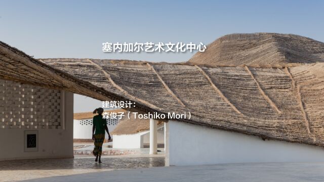 塞内加尔艺术文化中心 | Toshiko Mori