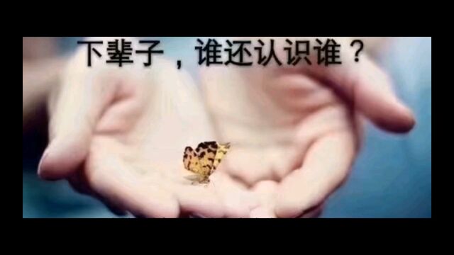 关于结婚的传言