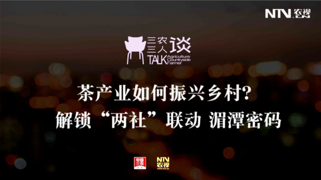 三农三人谈丨茶产业如何振兴乡村?解锁“两社”联动 湄潭密码