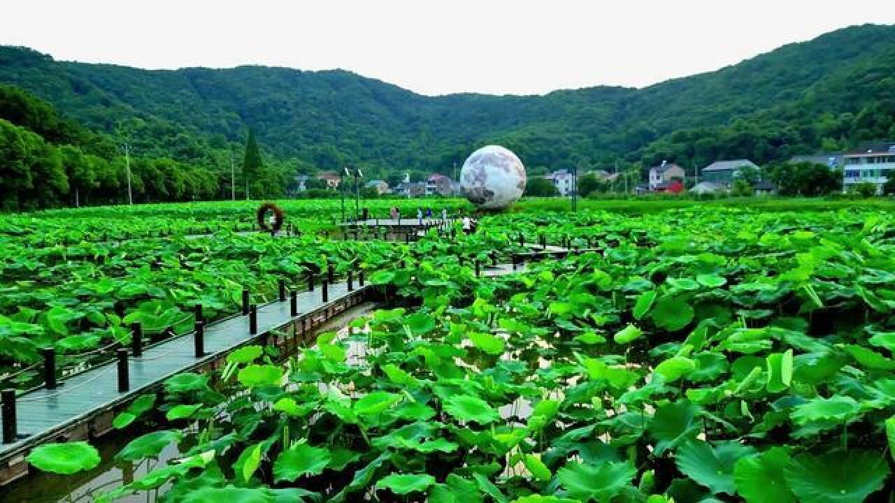 上虞白马湖畔半亩方塘夜景真是一绝!这一网红打卡地你打卡过了吗?,,,又到了赏荷花季节