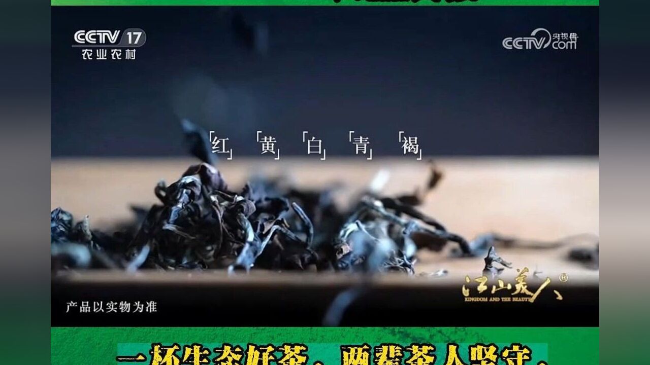 两辈茶人坚守的是什么茶?一杯生态好茶,见证两岸浓情