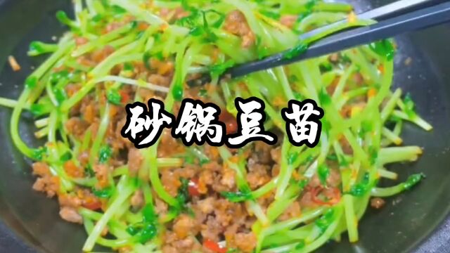 砂锅豆苗家常做法,好吃清脆,爽口还解腻