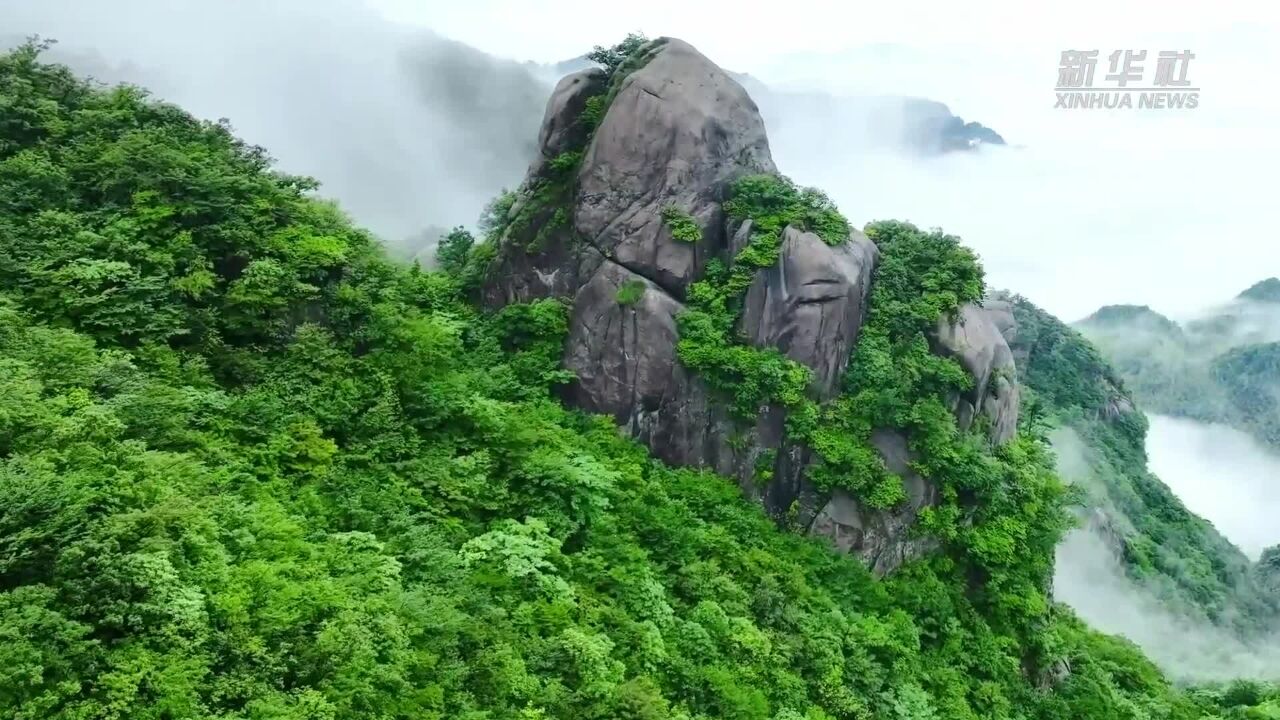 安徽九华山:雨后云海美如画