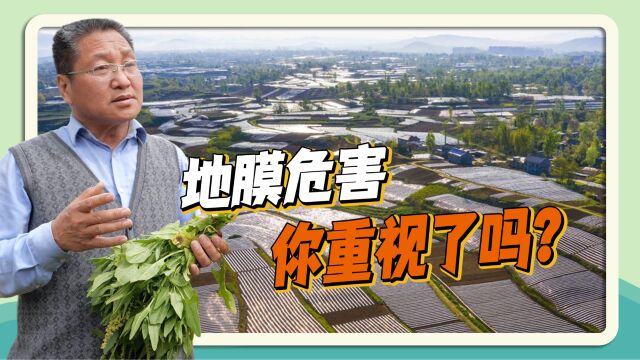 用地膜增产30%却对土壤祸害无穷?朱启臻:谁使用谁负责