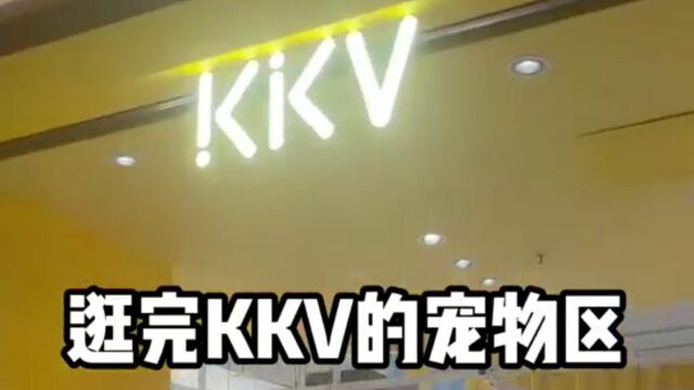 KKT宠物区红黑品总结来了,你家猫咪适合什么猫粮