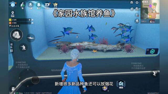 水族馆原来这么大