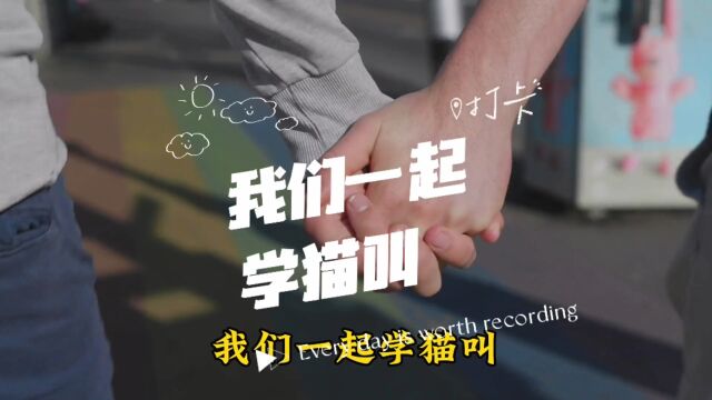 歌曲《我们一起学猫叫》