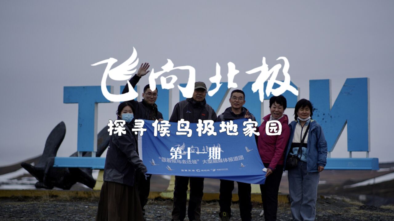 飞向北极|极地段VLOG第11期:迎接极昼,一波三折来到北极圈内