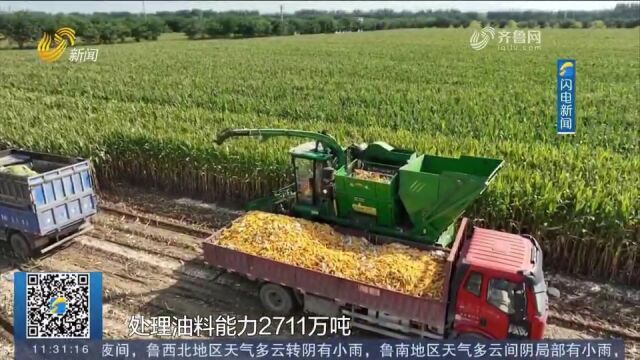 省政府新闻办:山东粮食产业规模大,仓储能力进一步提升