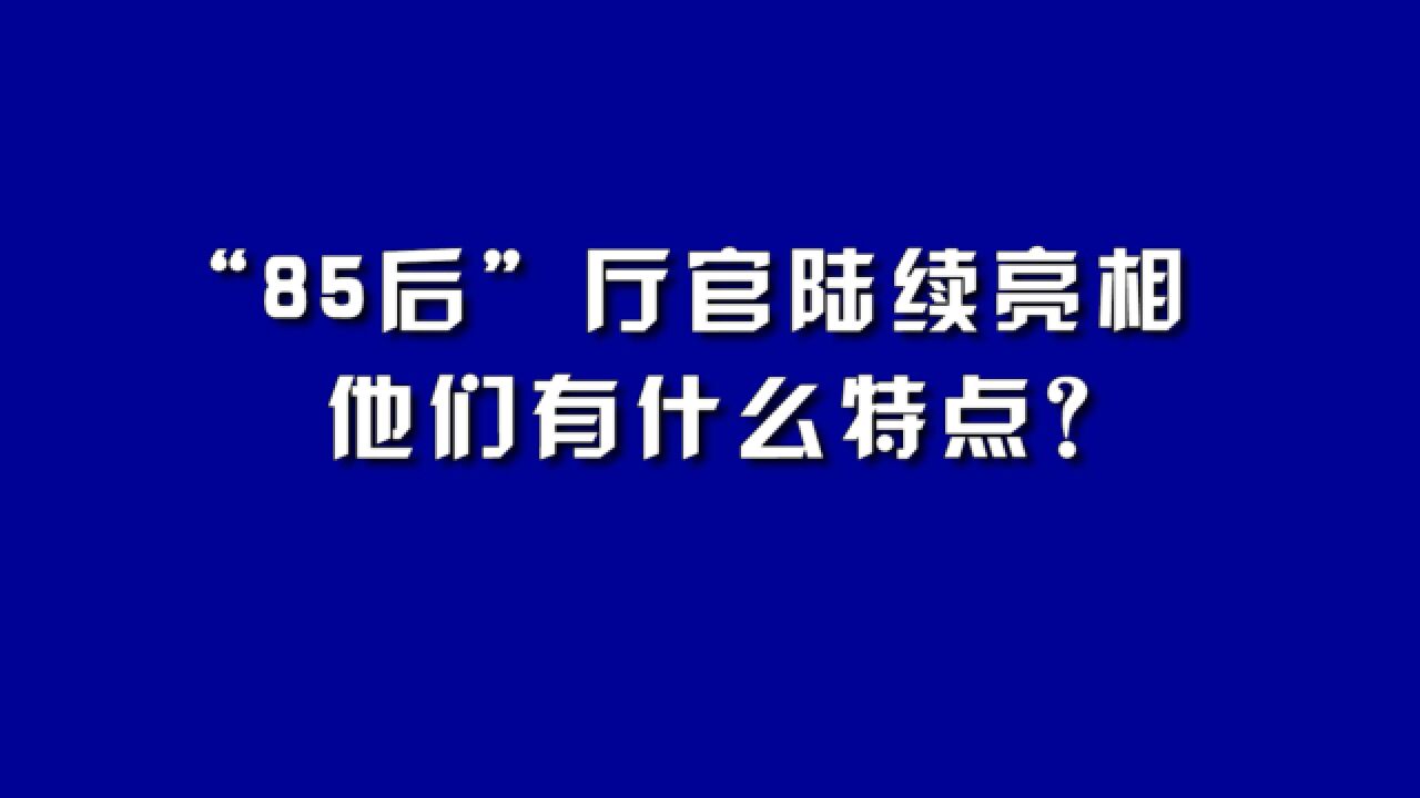 “85后”厅官陆续亮相,他们有什么特点?