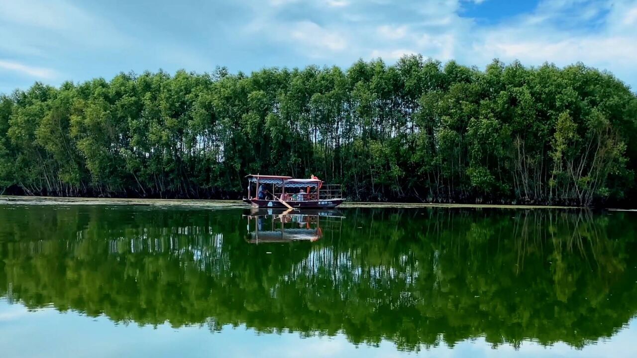 诗画山东|一起来东平湖寻觅治愈心灵的夏天