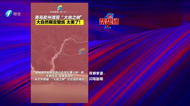 帮帮侠热评:大自然定制壁纸“大地之树”