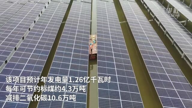 浙江舟山:渔光互补助力渔业养殖与新能源产业同步发展