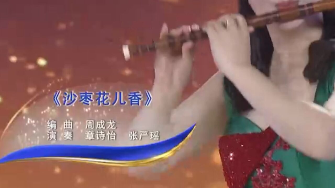 民族歌曲《沙枣花儿香》,章诗怡、张严瑶一起演奏,旋律优美