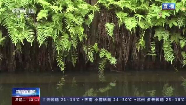 从烂泥地变身大森林 这个景点享受上了生态红利