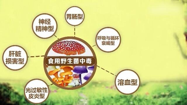 食用野生菌中毒症状大致分为6种类型