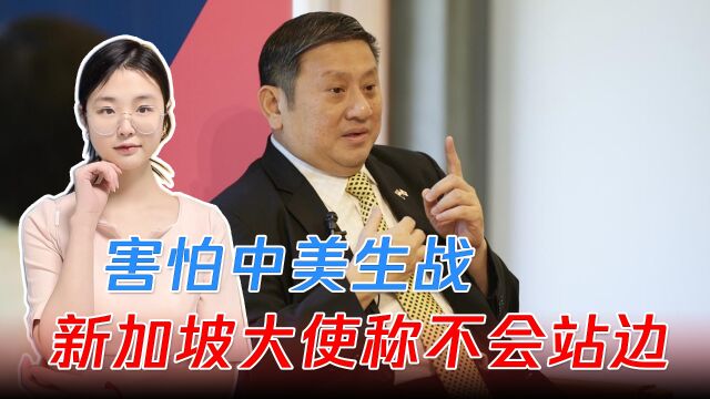 害怕中美生战,新加坡大使担心被波及:不会在中美间选边站队