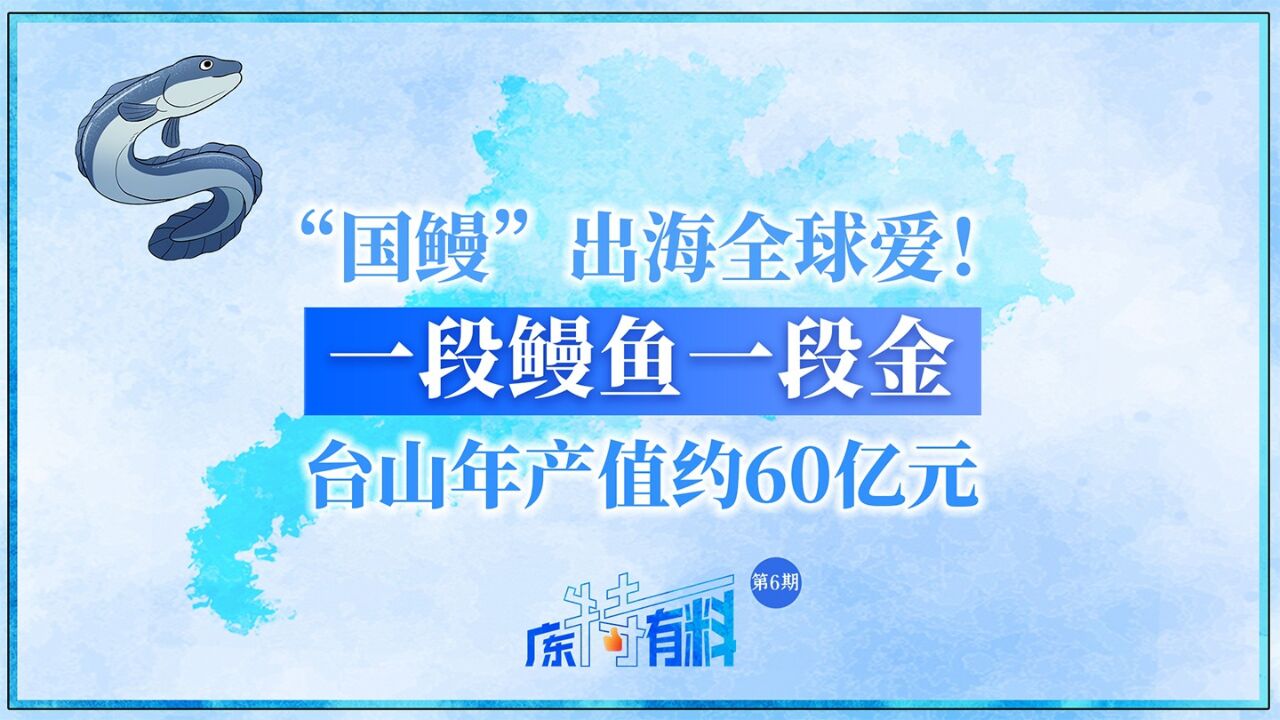 “国鳗”出海全球爱!一段鳗鱼一段金,台山年产值约60亿元