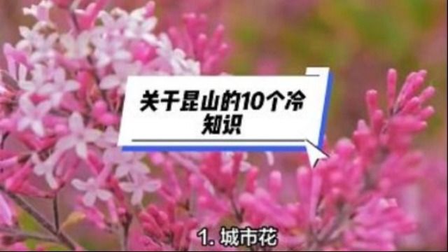 关于昆山的10个冷知识