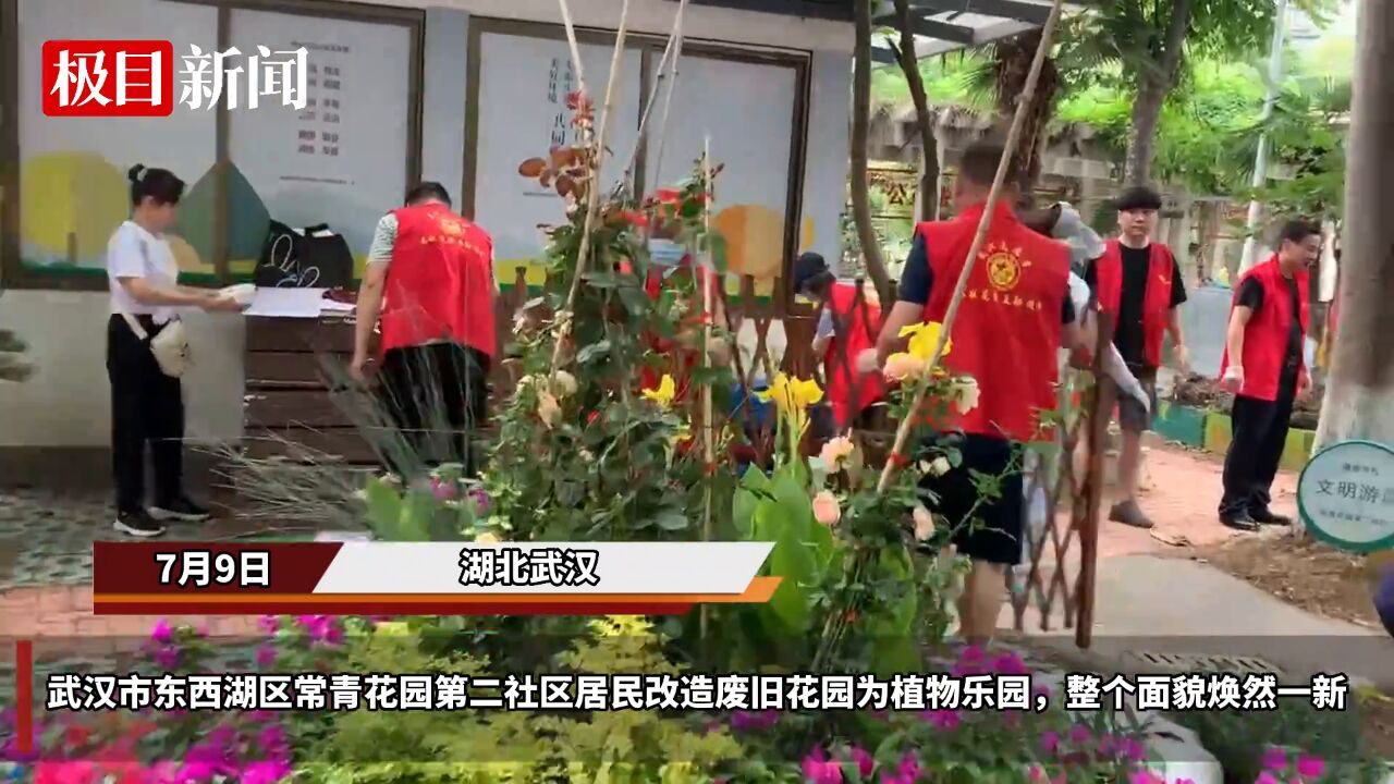 【视频】你搬花来我涂鸦,居民动手改造社区花园