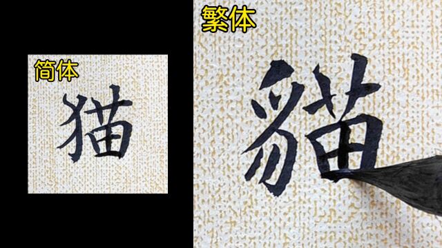 教你如何书写“猫”的繁体字