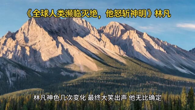 《全球人类濒临灭绝,他怒斩神明》林凡全文免费阅读○(完结小说)