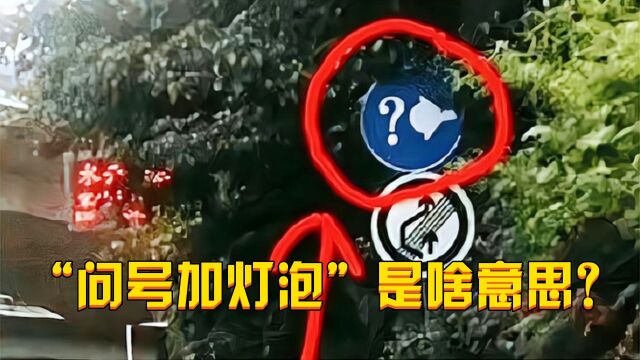 跑高速时“问号加灯泡”标志是啥?交警无奈:这都不懂也敢上路