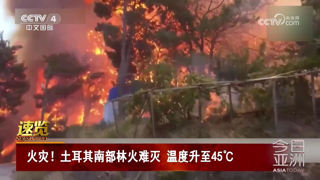 火灾!土耳其南部林火难灭 温度升至45℃