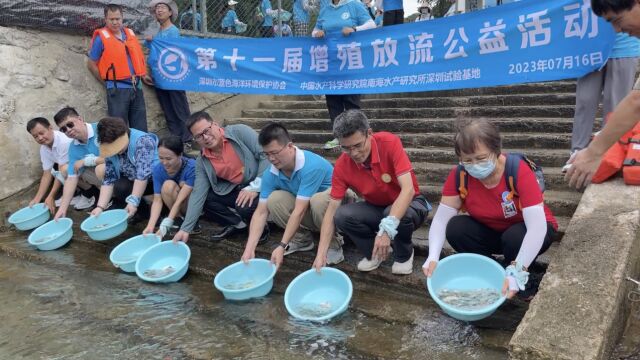 “生态海洋 鱼你同行”第十一届增殖放流公益活动 36万尾鱼虾苗放归海洋