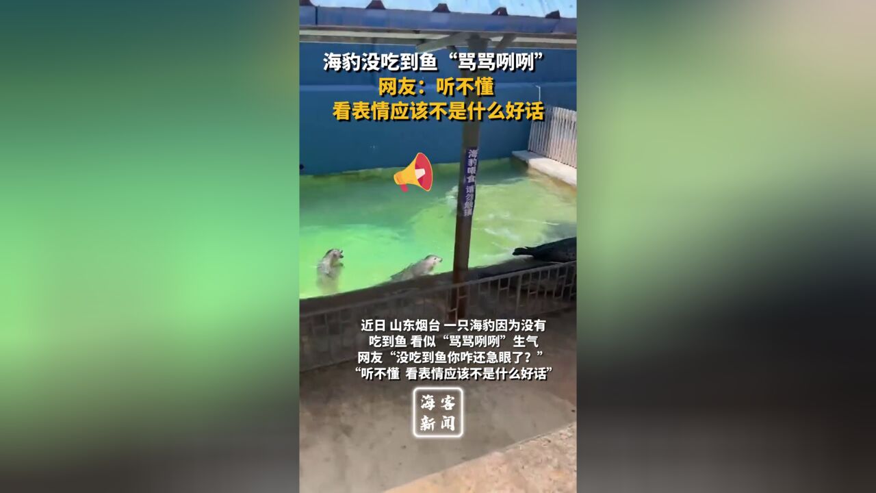 海豹没吃到鱼“骂骂咧咧”,网友:听不懂,看表情应该不是什么好话