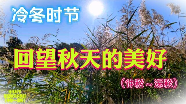 冷冬时节 回望秋天的美好(仲秋~深秋)