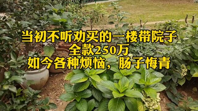 250万买了一楼带院子的房子,住了三年后悔了三年,真是太坑人了