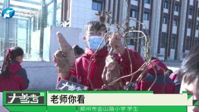 河南郑州:“这是我种的红薯”,农民爷爷进课堂教小学生们种地