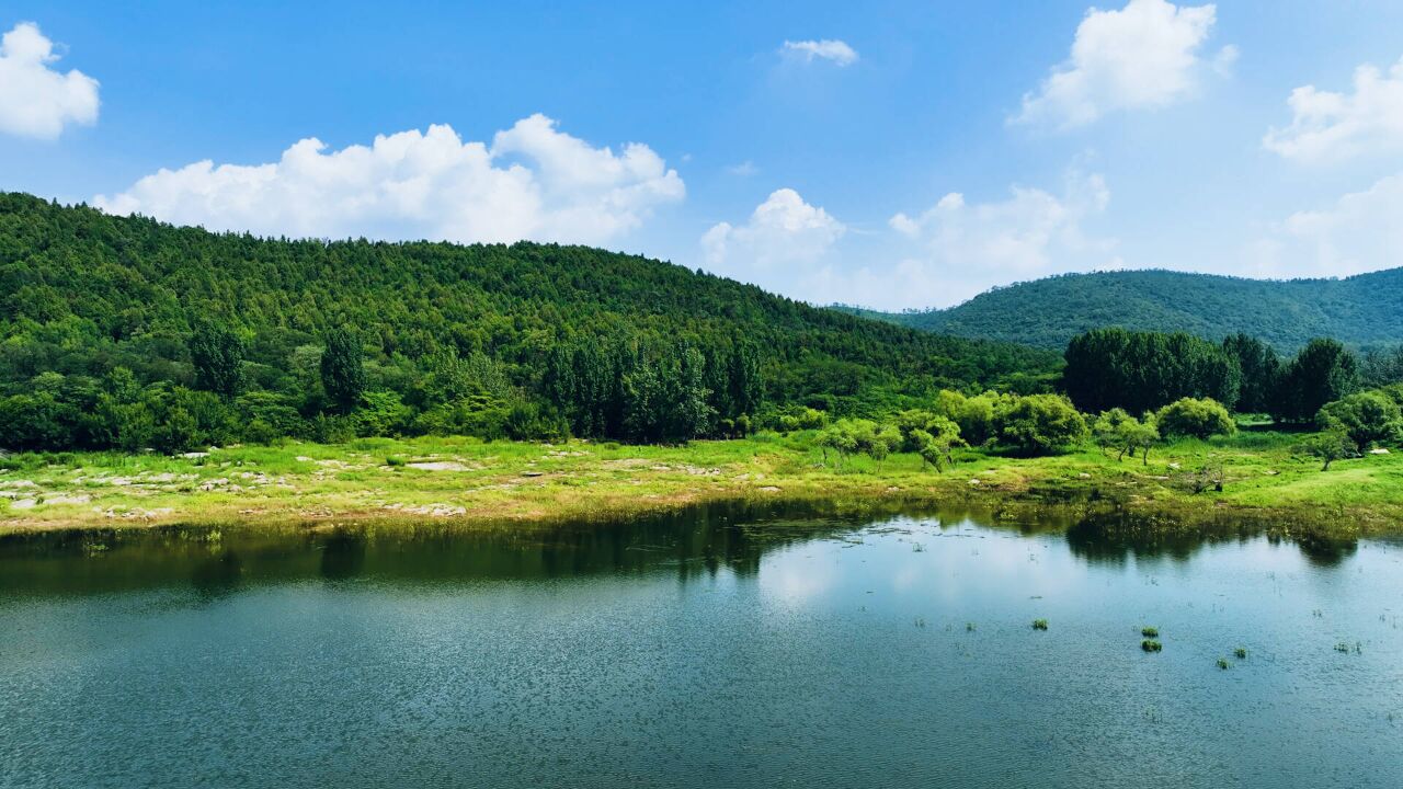 群山之中镶碧玉!盛夏枣庄杨峪风景区满眼翠绿 风景秀丽