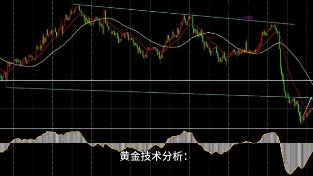 张志径:11.17黄金走势分析