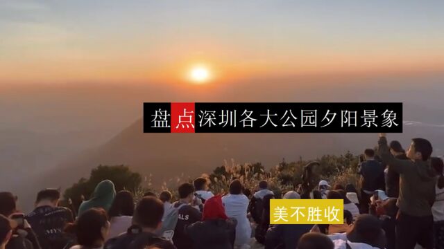 盘点深圳各大公园夕阳景象 美不胜收