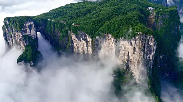 湖南张家界天门山一游客坠亡,知情者称死者是19岁学生